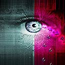 amerigo53tickhill's Avatar