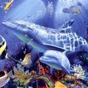 alexander30's Avatar