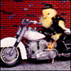 yjydyvur's Avatar